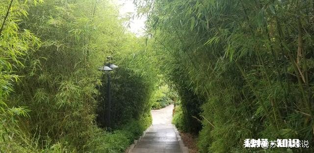 老公会经常不耐烦的骂出很不尊重你的言语,为什么