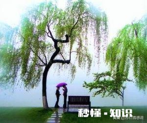 老公会经常不耐烦的骂出很不尊重你的言语,为什么