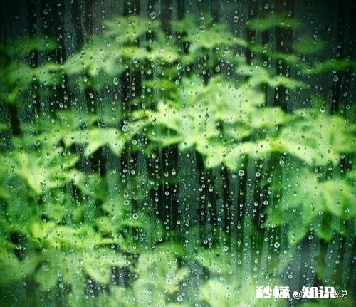 老公会经常不耐烦的骂出很不尊重你的言语,为什么