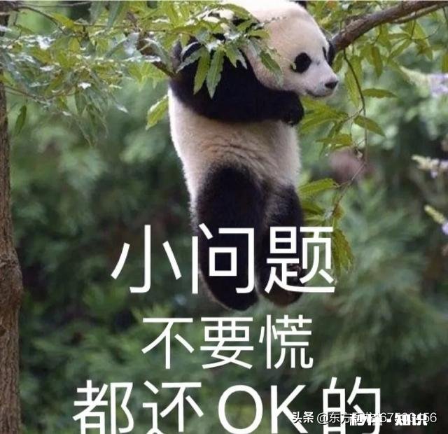 为什么很多人会在意别人穿的鞋子是不是品牌鞋