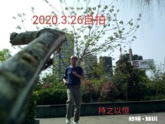 年龄大了还需要做无氧运动健身吗