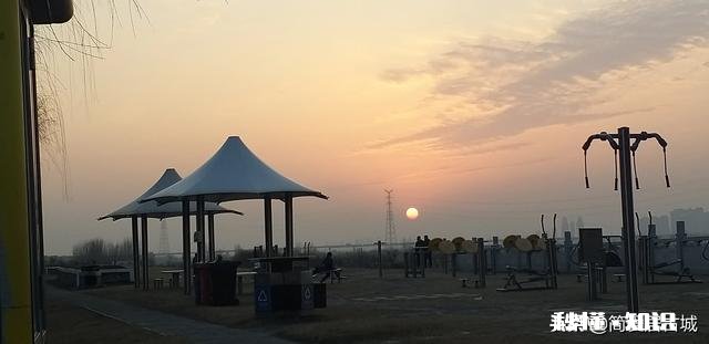 疫情发生后,你和不住在一起的父母多久没见面了感觉如何