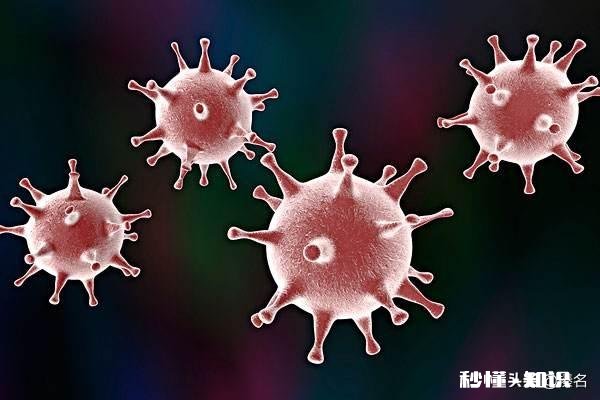 疫情发生后,你和不住在一起的父母多久没见面了感觉如何