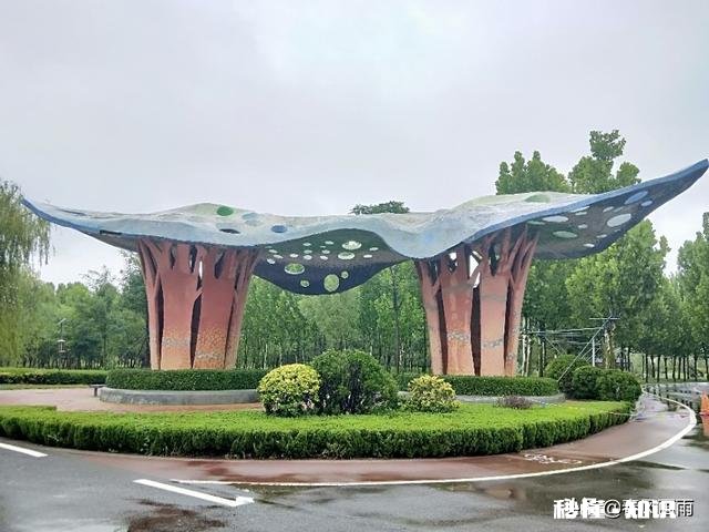 50岁了，对于养老你有什么样的打算