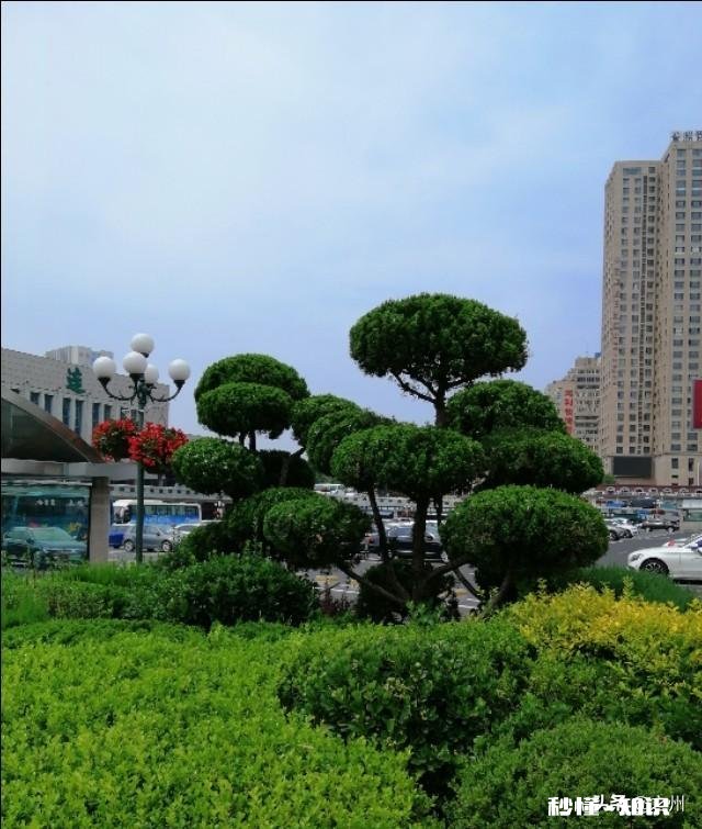 50岁了，对于养老你有什么样的打算