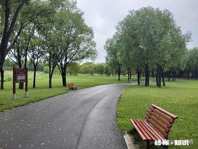 50岁了，对于养老你有什么样的打算