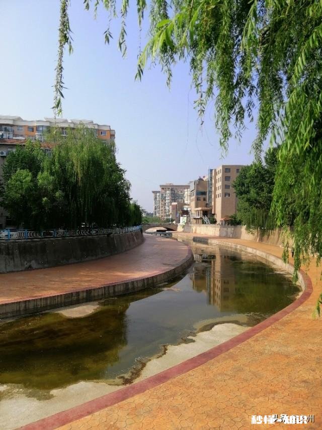 50岁了，对于养老你有什么样的打算