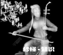 胡琴是什么时间产生的