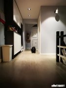 金毛吃的多还是拉布拉多吃的多，各有什么优缺点