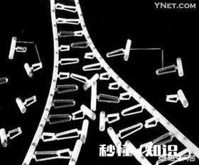 是什么控制了细胞不会无限再生如果能控制细胞再生，是否意味着人类就不会衰老了