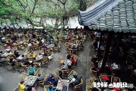 在你心中什么最能代表成都