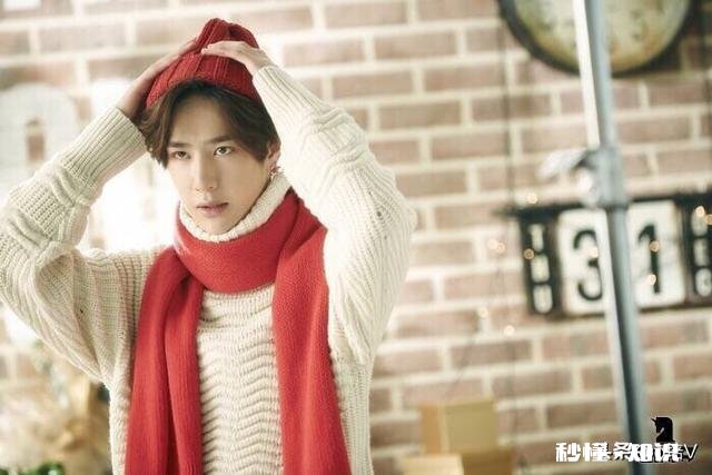 追星到底是什么感觉我也有喜欢的明星，可并没有那么疯狂的感觉