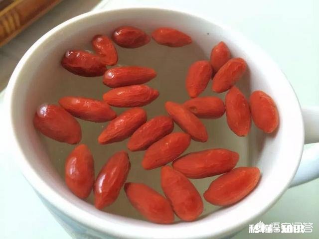 在阳台怎么种一颗枸杞