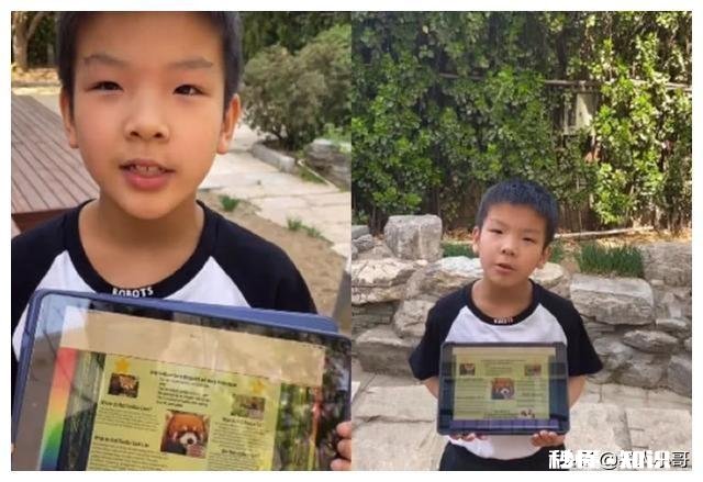 黄圣依自曝“没时间带娃”，为什么还能教出学霸安迪