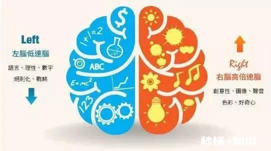 儿童画画对大脑发育有哪些好处