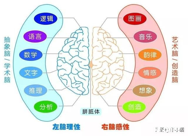 儿童画画对大脑发育有哪些好处