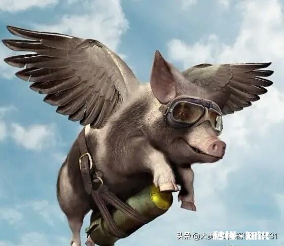 三农兴趣认证，什么样的回答才算优质的回答