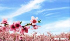 诗词摄影：“桃花春色暖先开，明媚谁人不看来。”的拍摄思路有哪些