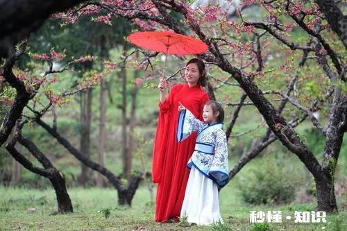 诗词摄影:“桃花春色暖先开,明媚谁人不看来。”的拍摄思路有哪些