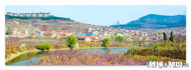 诗词摄影:“桃花春色暖先开,明媚谁人不看来。”的拍摄思路有哪些