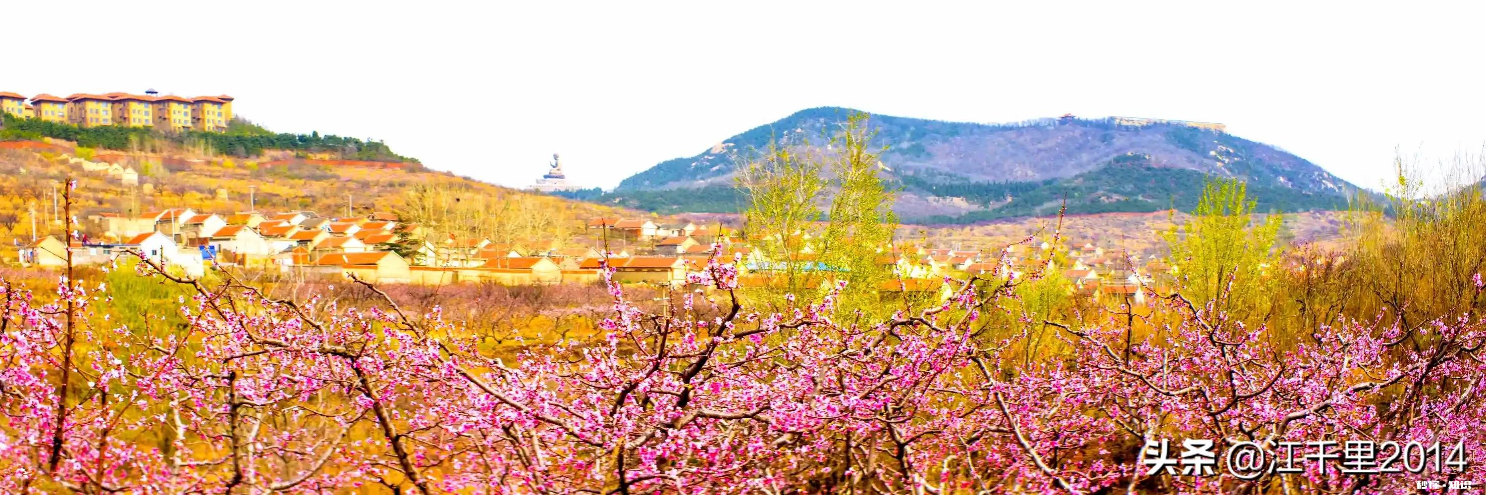 诗词摄影:“桃花春色暖先开,明媚谁人不看来。”的拍摄思路有哪些