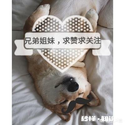 父母、亲人在过年时有哪些让人尴尬的习惯、行为