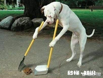 只结识对自己有帮助的人，当你觉得这些人没有价值了就慢慢疏远，你觉得这样好吗