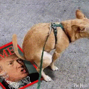 只结识对自己有帮助的人，当你觉得这些人没有价值了就慢慢疏远，你觉得这样好吗