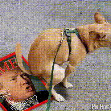 只结识对自己有帮助的人，当你觉得这些人没有价值了就慢慢疏远，你觉得这样好吗