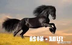 怎么样才能不紧张，心态好