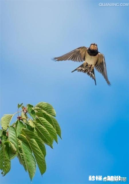 怎么样才能不紧张，心态好