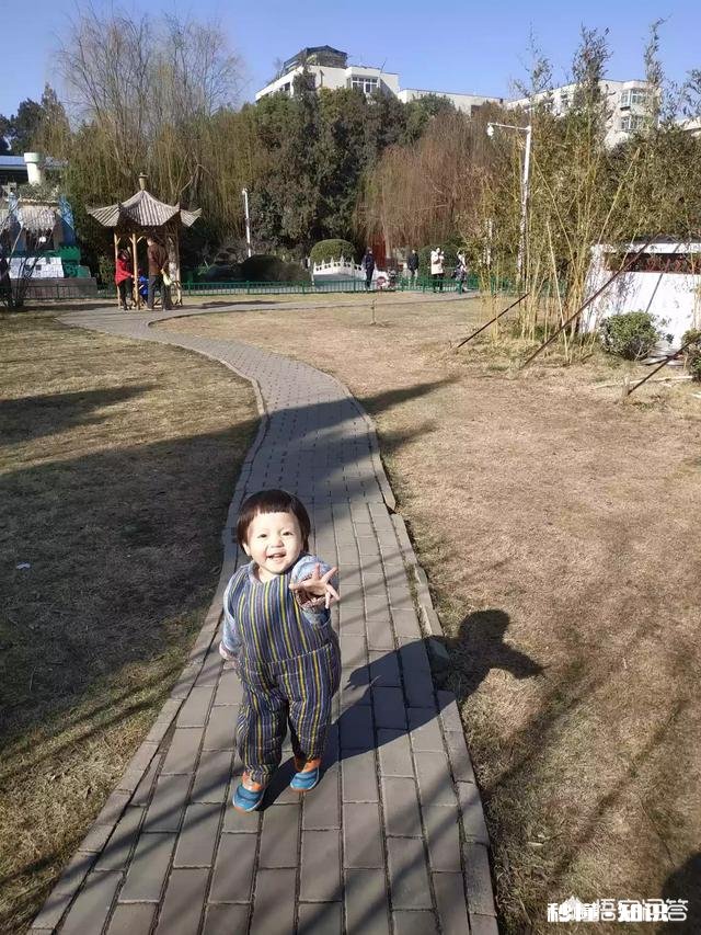 如何利用躺在床上，睡觉前刷手机时，一天中最悠闲的时光，提升自己