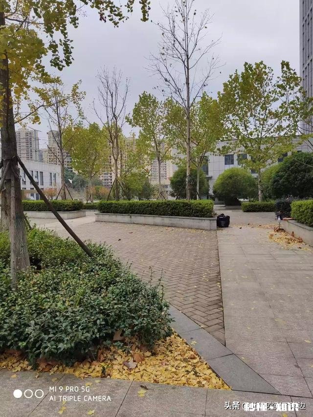 时光如果能倒流，你希望你的故事是怎样的