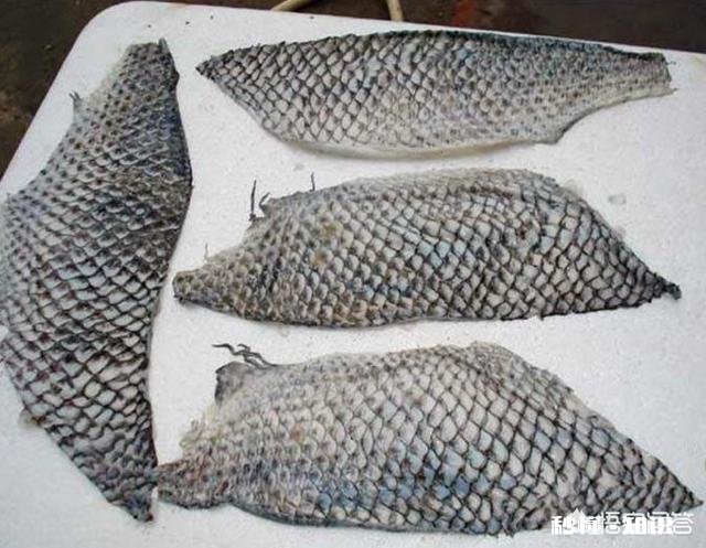 脸上有斑点，适合用什么遮住