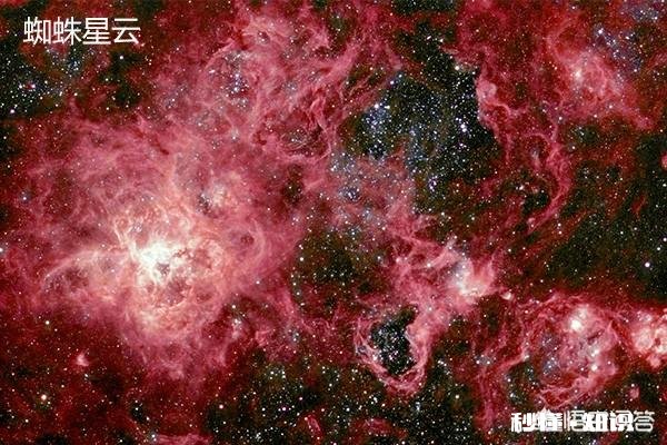 绝对星等最亮的恒星是哪一颗有什么特点