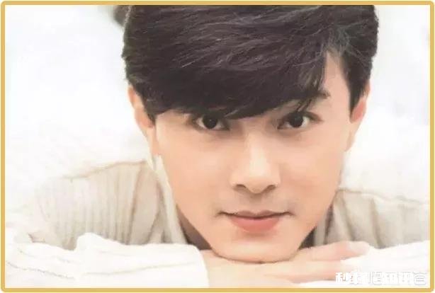 有哪些曾经很帅的男明星