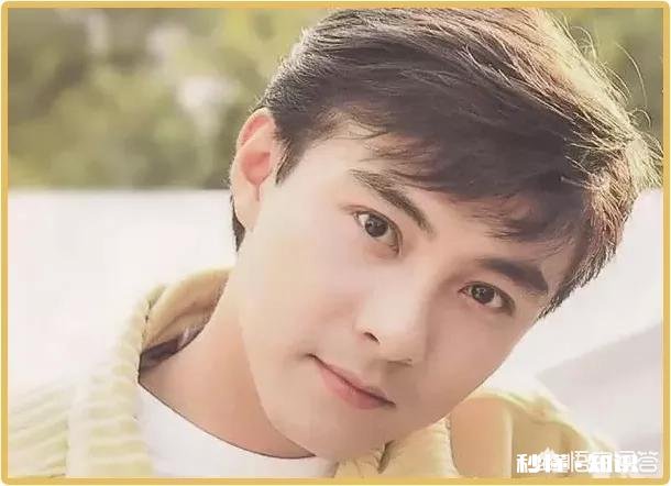 有哪些曾经很帅的男明星