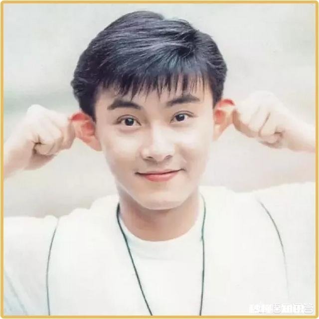 有哪些曾经很帅的男明星