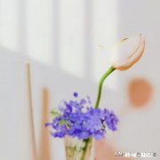 丈夫对自己家庭和农村的原生家庭没有界限，爱揽事情，怎么办