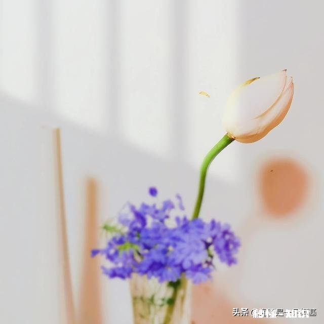 丈夫对自己家庭和农村的原生家庭没有界限，爱揽事情，怎么办