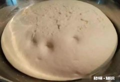 慢发酵的包子吃起来是不是更软