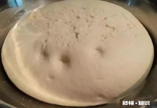 慢发酵的包子吃起来是不是更软