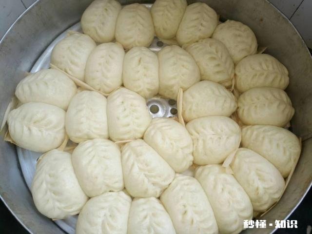 慢发酵的包子吃起来是不是更软