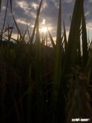 你们是怎么来平复自己考科目二前的紧张心情的