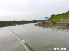 走水，钓大跑铅，为什么其他钓友都是顿口中鱼，我顿口全空竿