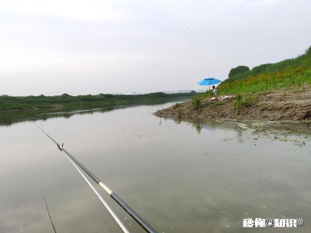 走水，钓大跑铅，为什么其他钓友都是顿口中鱼，我顿口全空竿