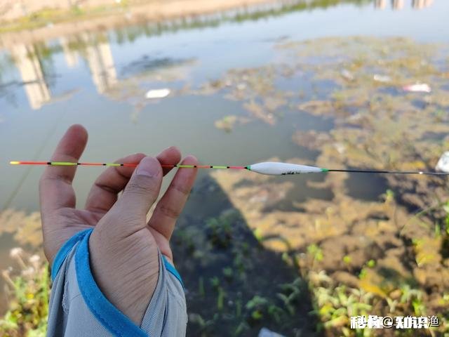 走水，钓大跑铅，为什么其他钓友都是顿口中鱼，我顿口全空竿