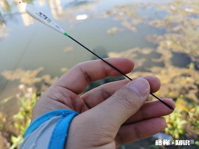 走水，钓大跑铅，为什么其他钓友都是顿口中鱼，我顿口全空竿