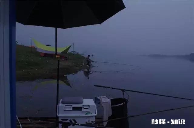 走水，钓大跑铅，为什么其他钓友都是顿口中鱼，我顿口全空竿