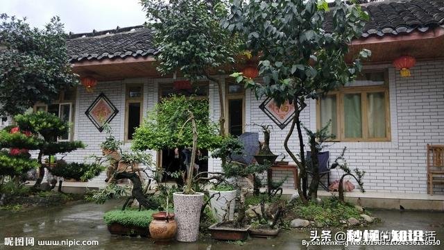 农民伯伯的独家小院和城里的高楼大厦，哪个最适合人类居住